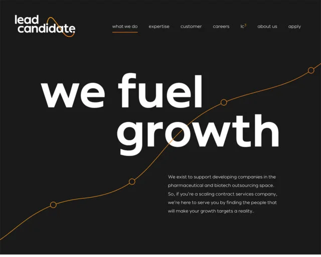 The "What We Do" page